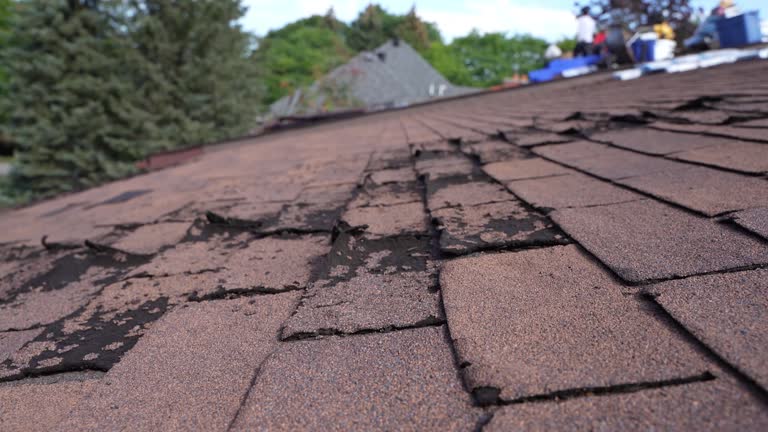 Best Wood Shake Roofing  in Dana, NC