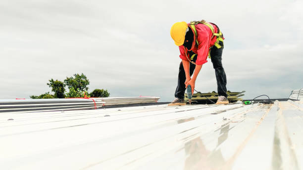 Best Solar Panel Roofing Installation  in Dana, NC