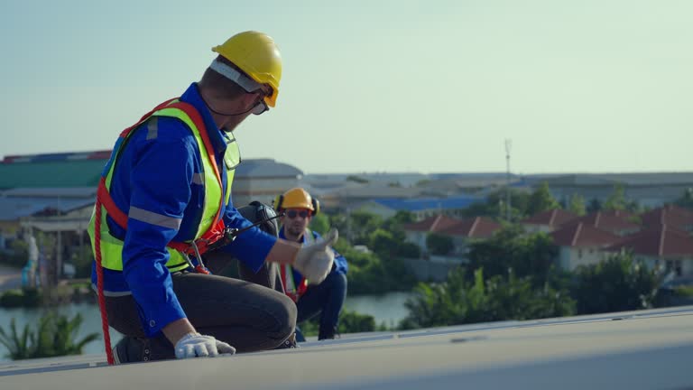 Best Roof Maintenance and Cleaning  in Dana, NC