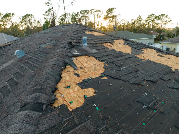 Best Roof Installation  in Dana, NC