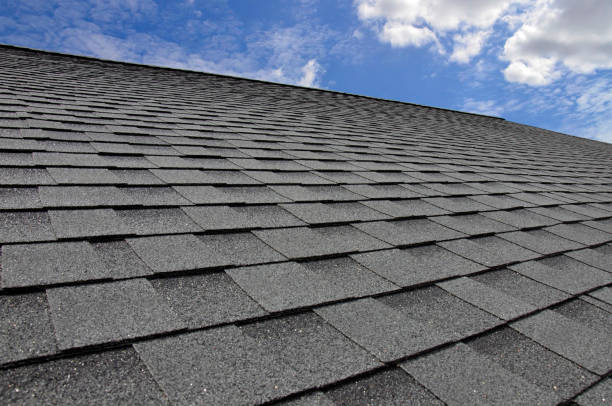 Best Roof Coating and Sealing  in Dana, NC