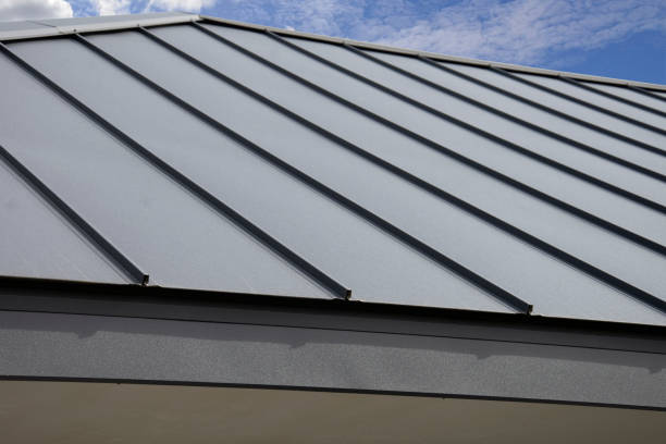 Best Rubber Roofing (EPDM, TPO)  in Dana, NC